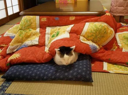 柔性線(xiàn)路板