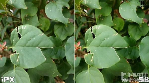 iPhone X與三星S8拍照對比 結(jié)果無懸念？